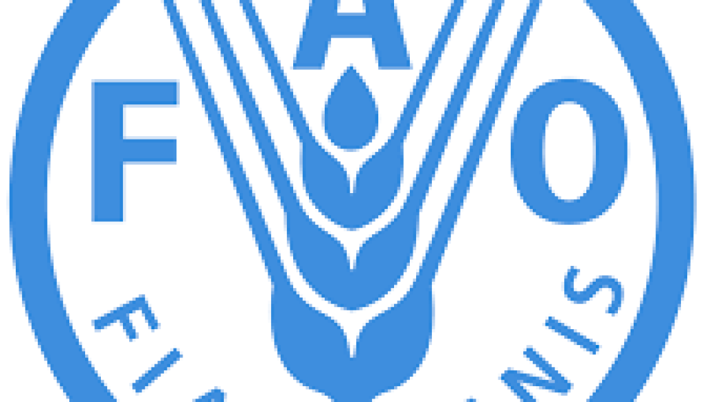 fao Technical Advisor Forest Data Management Vacancy-Job Ref: GJKHFAO/2107/2025829