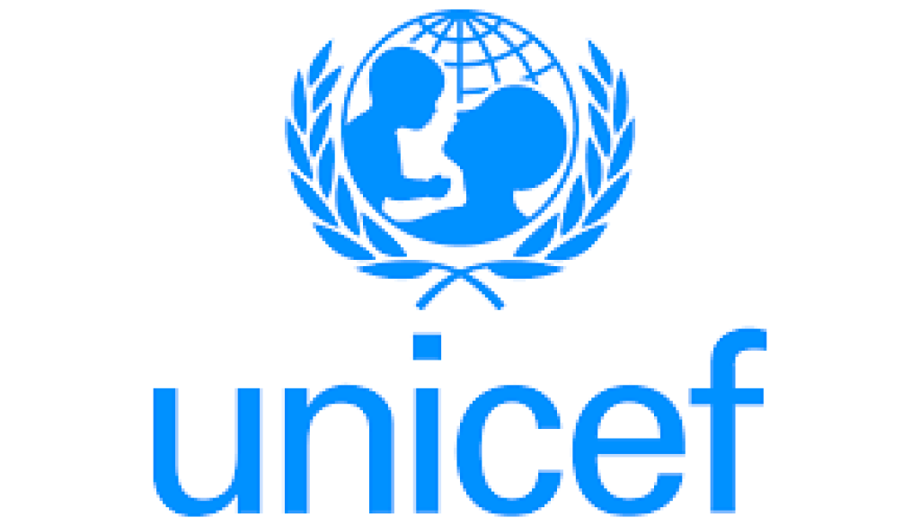 National IT Assistant Vacancy-Job Ref: GJKHUNICEF/1206/2025809